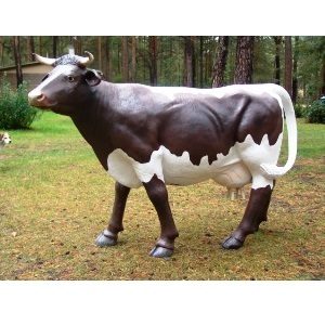kráva a tele